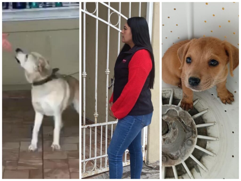 Atienden inspectores del Ayuntamiento de Tijuana denuncia por maltrato