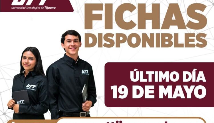 Fichas