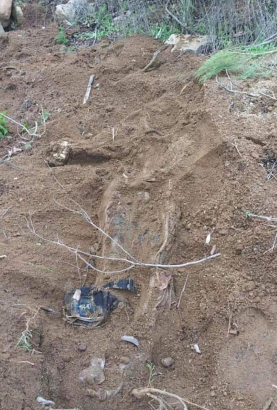 Screenshot_20240203_184516