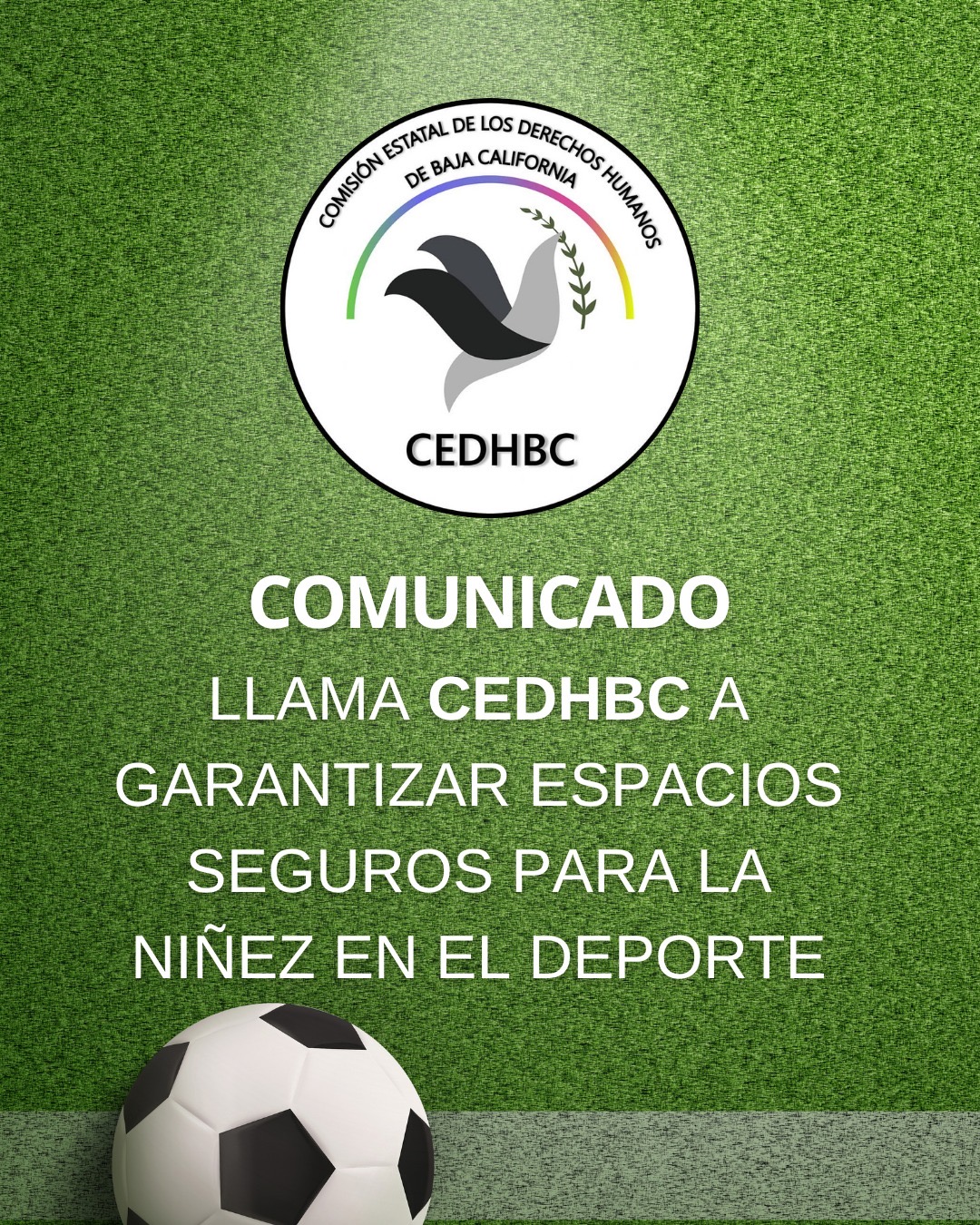 11cee6ca-a5ab-4dd8-a027-e0ec11c62b1f