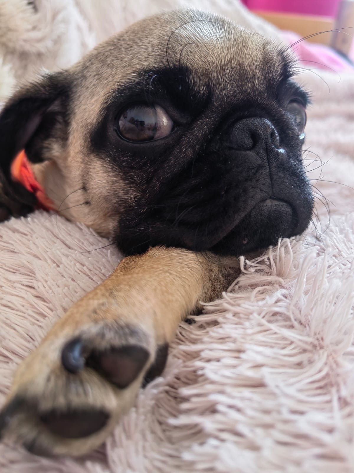 3e91ae32-34e0-46be-a0fb-f0ce6a290852