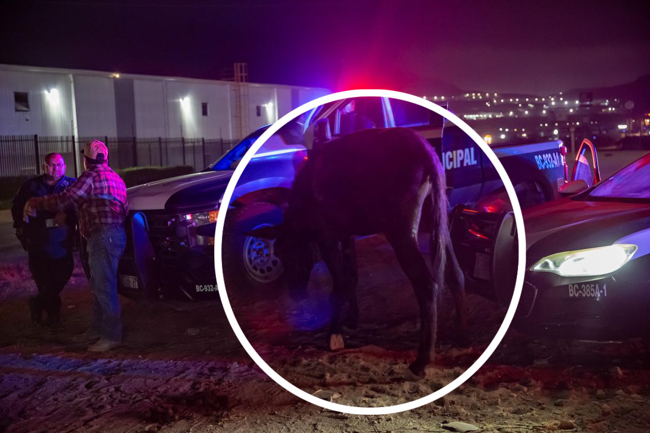 01CDE71A-BDD7-404C-A4CB-2F099BBBBF2C