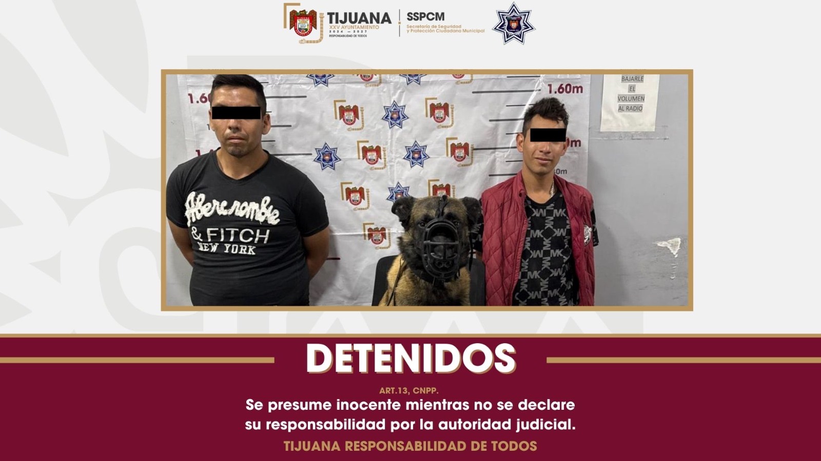 4e7b0d51-de0a-4296-9f59-6c13cbdd9312