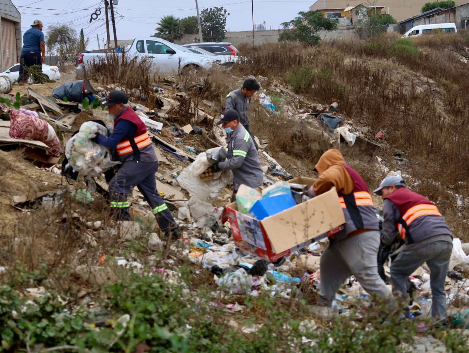 5cf7000d-b6a0-4378-92df-617754d8087b