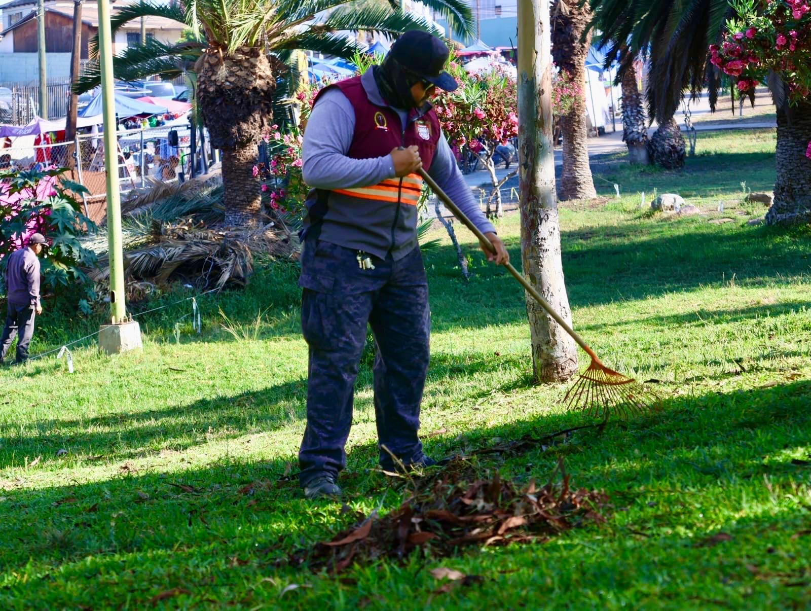 6d509a92-abe2-422b-9533-fc2c5555e013