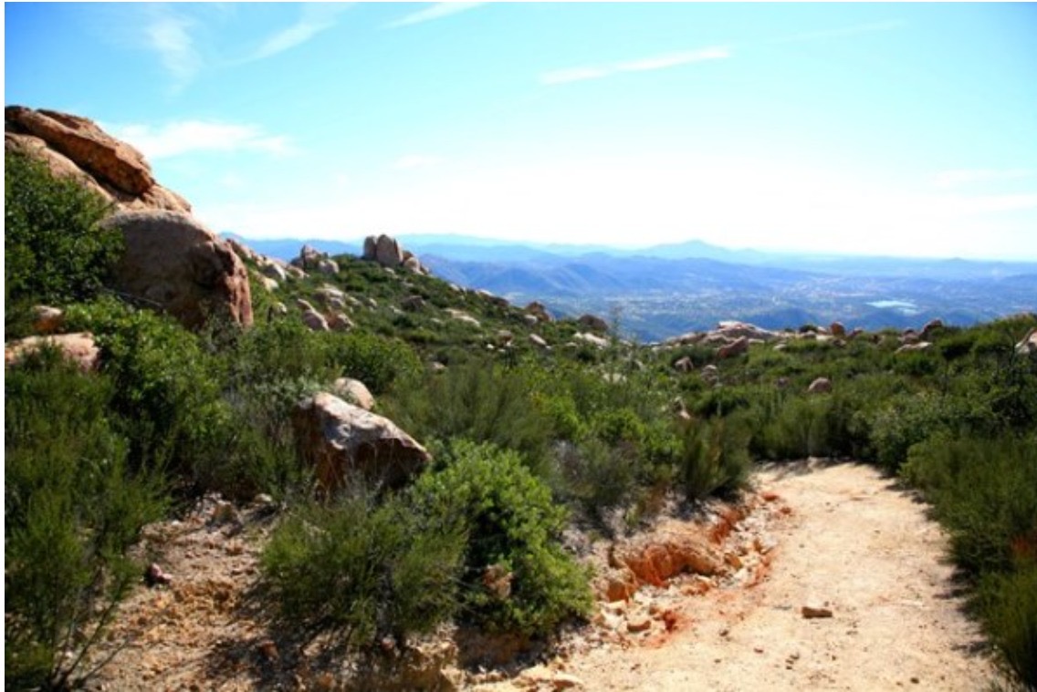 8b2eb556-6698-4a1e-b909-78f5890c45a2