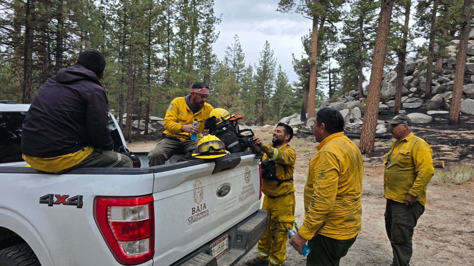 f7b273a5-7de0-4dd4-b63e-da65e32364fb