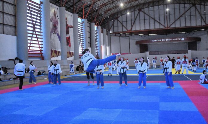 036f30fc-94bd-4cb1-829c-e3d0db999566