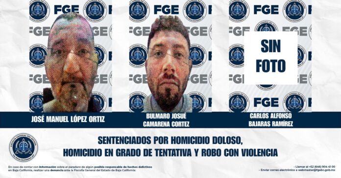29b61d7f-7519-43c5-9687-833919a54d0a
