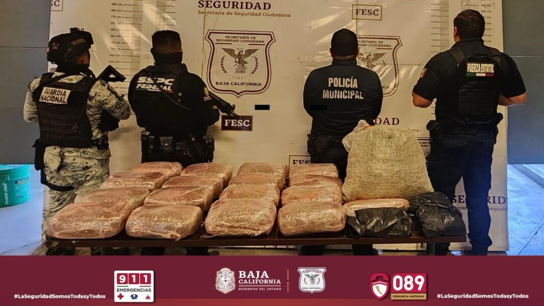 Tras denuncia ciudadana FESC asegura cargamento de marihuana