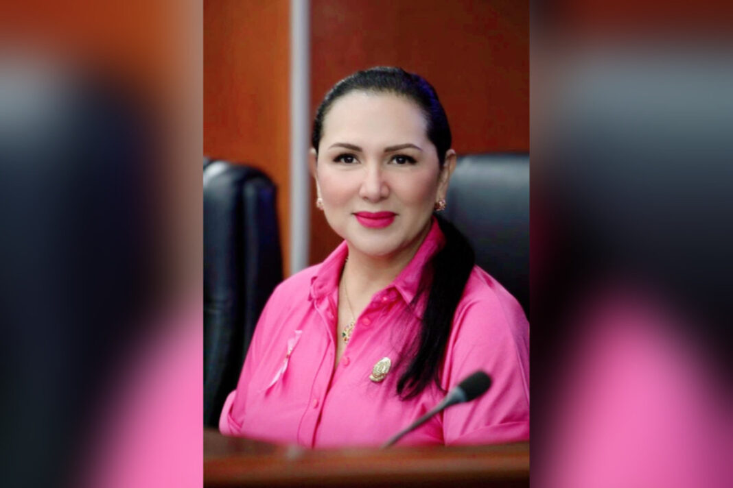 Diputada Geraldo propone fortalecer participación ciudadana en el Congreso