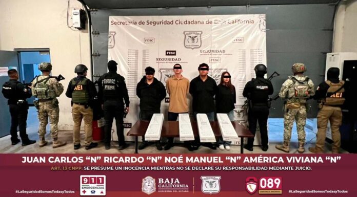 6b921387-501b-4963-b637-3435cb5dab1b