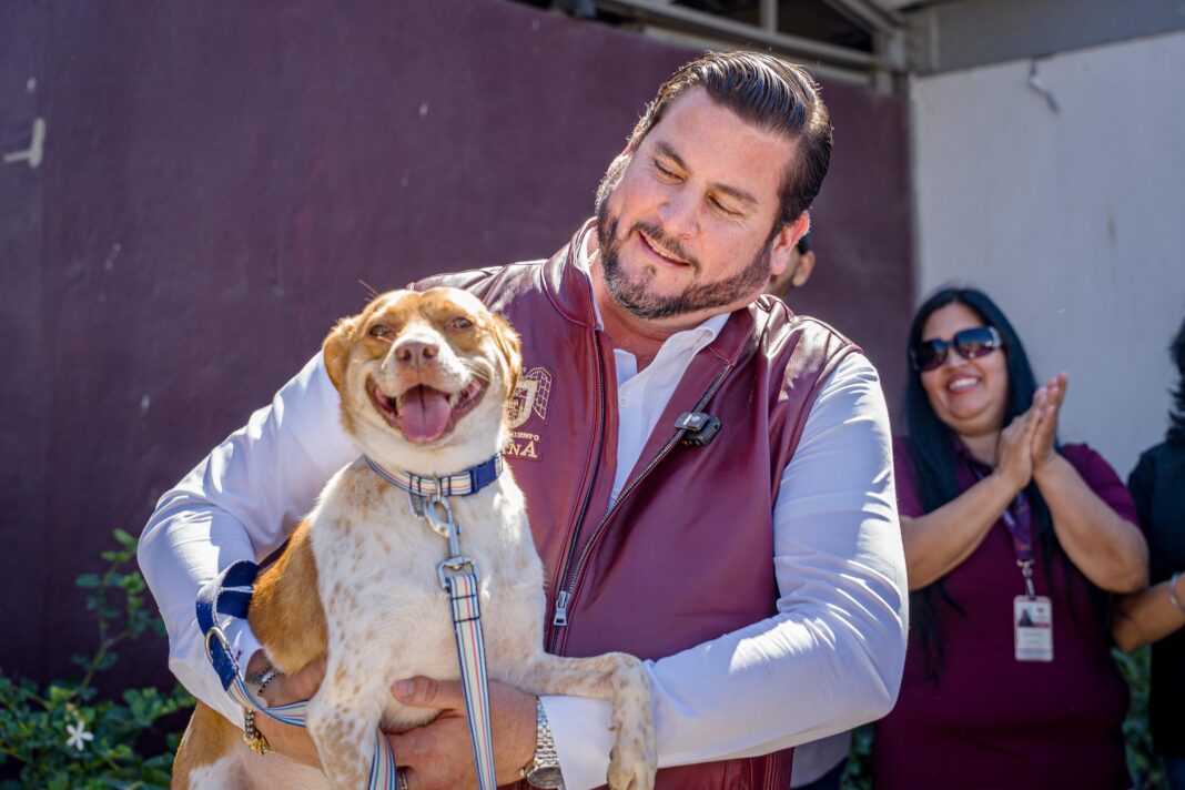 Impulsa Ismael Burgueño rehabilitación del Centro de Control Animal de Tijuana