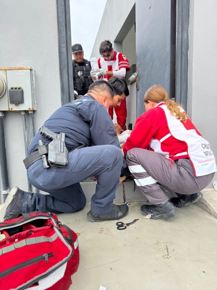 e0ca8c0c-7e4c-4252-a2bc-ad95653778eb