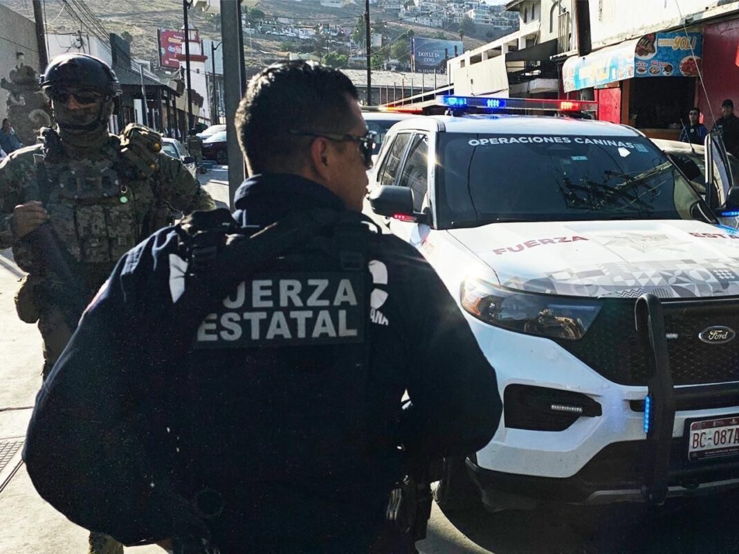 Registra SSCBC más de 278 detenciones por delitos del fuero federal