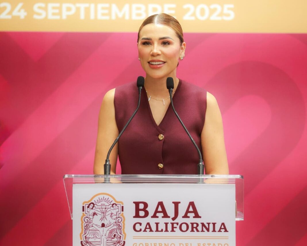 Festival de Octubre traerá más de 140 actividades y concierto gratuito de Residente