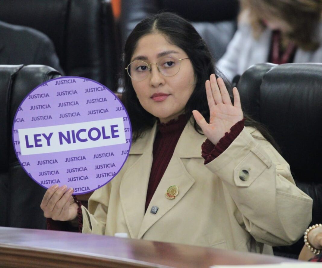 Llama diputada Sánchez al Congreso de la Unión y al Senado a aprobar “Ley Nicole”
