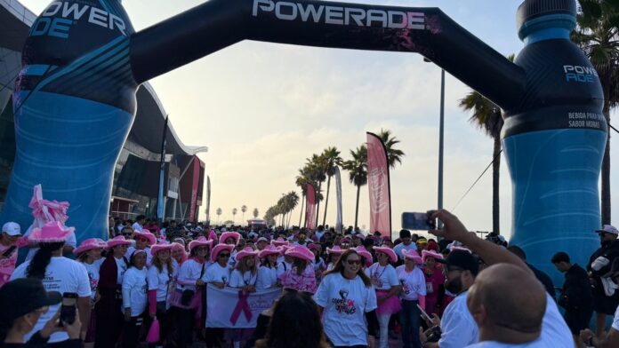 47785bb7-9a77-4acd-9c0a-74a803a3bad6