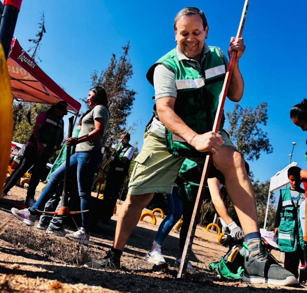 Reforesta Gobierno Municipal Parque de la Amistad con especies nativas