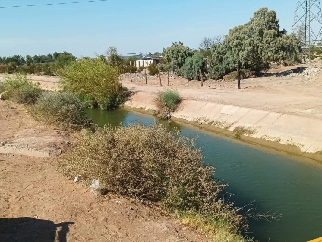 Pescador salva la vida a mujer de 85 años de un canal del Río Colorado