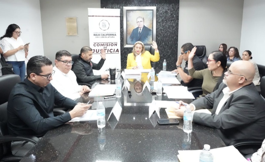 Aprueban iniciativas relativas a los códigos penal, civil y la Ley Orgánica del Registro Civil