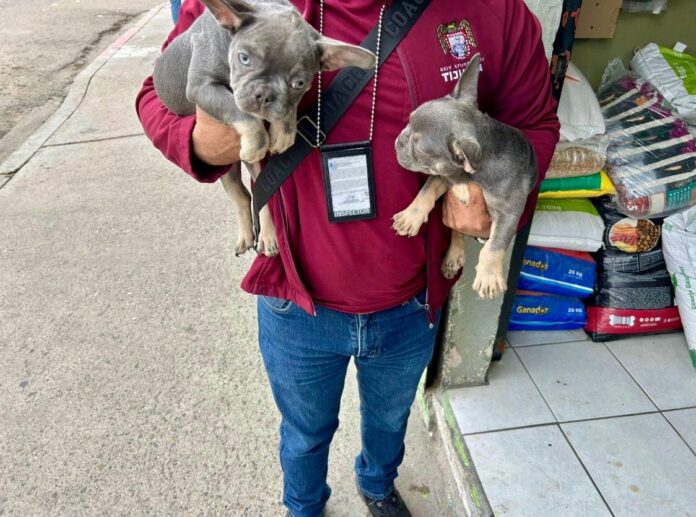 5c3ea605-878c-4c3a-adfd-777605642990