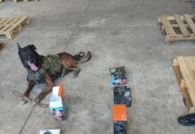 Unidad K9 descubre envío irregular de vapeadores