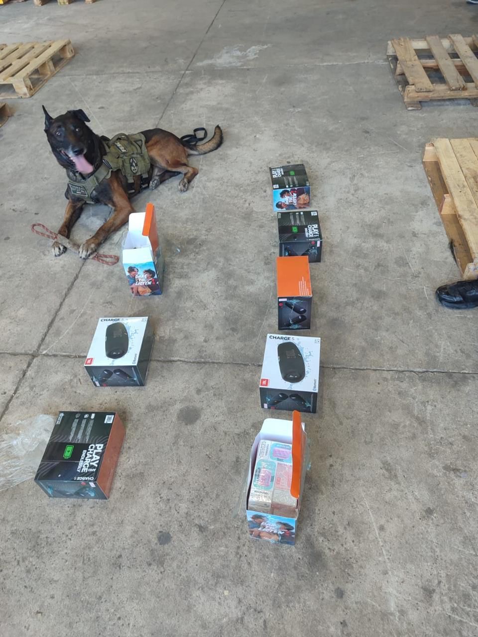 Unidad K9 descubre envío irregular de vapeadores