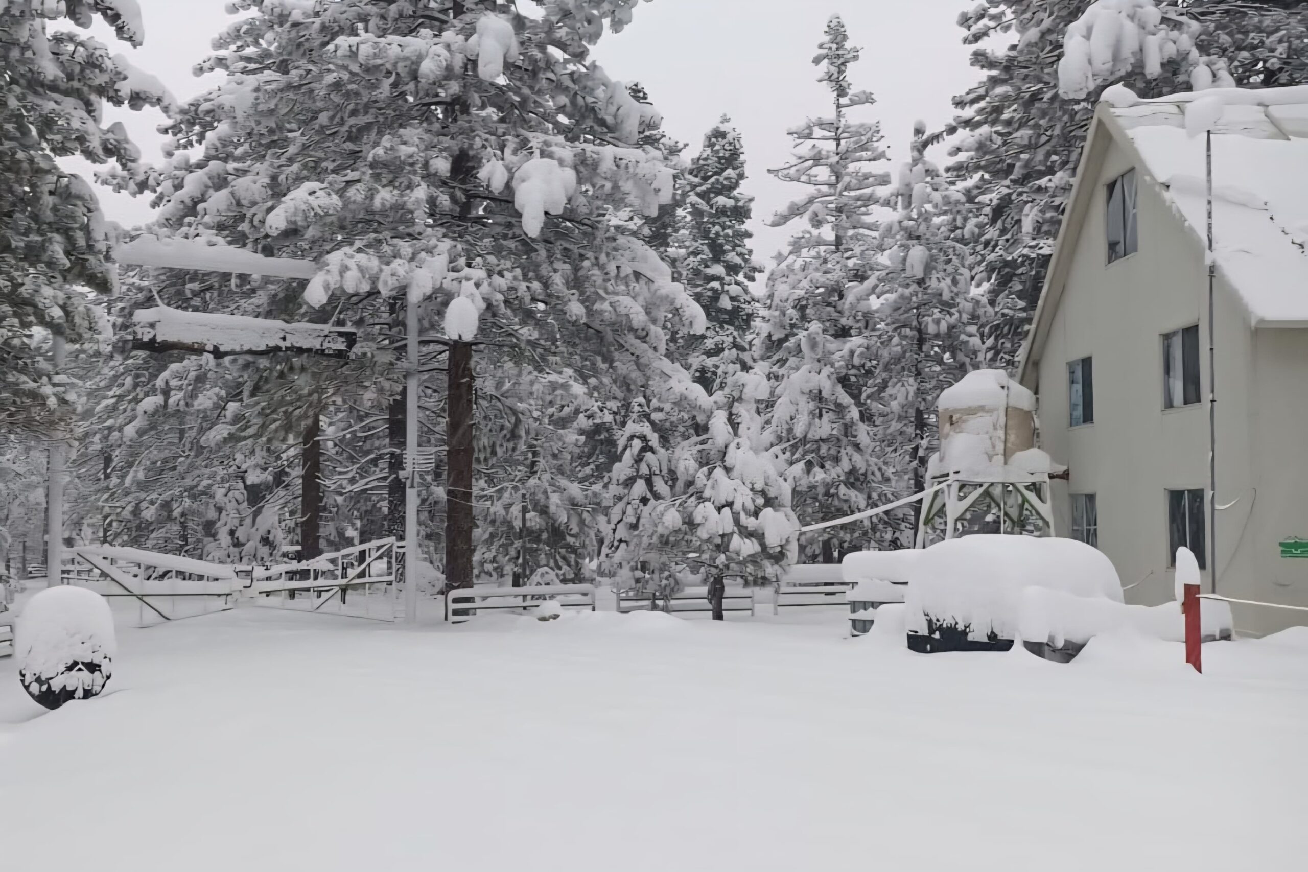 6e29d1b5-3221-4f74-afae-fe7db3e037c9