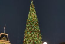 Inicia la temporada navideña en Disneyland Resort