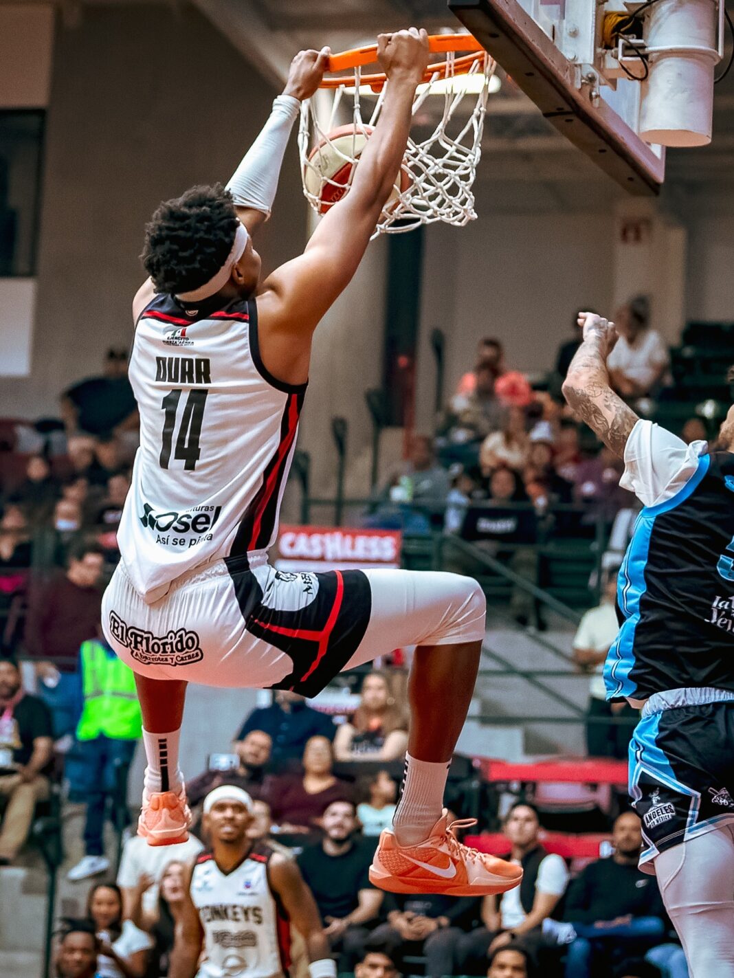 Regresa el sentimiento: Zonkeys convoca a su gente para vivir cada juego al máximo desde las gradas