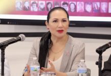 Propone diputada Geraldo modernizar mecanismos de participación ciudadana