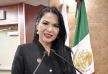 Propone diputada Corral fortalecer protección jurídica a menores