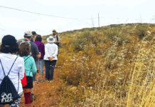 “Viernes Verde” en San Diego: parques ofrecen actividades gratis durante el fin de semana festivo