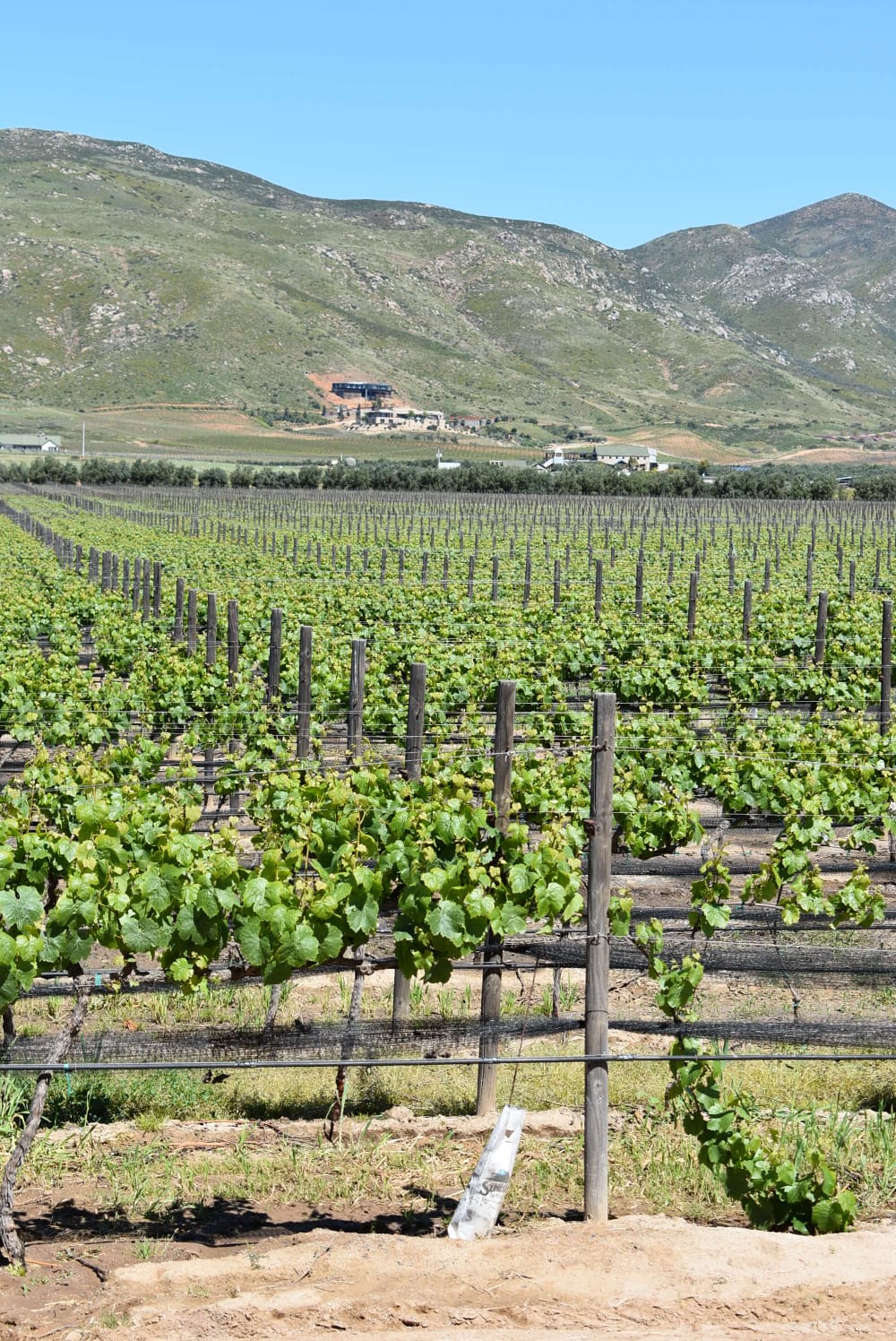 Reforma a la Ley de Aguas no garantiza justicia hídrica: productores del Valle de Guadalupe