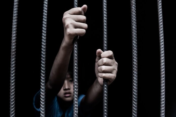 1740f113-4326-444a-b799-77502da6f0db