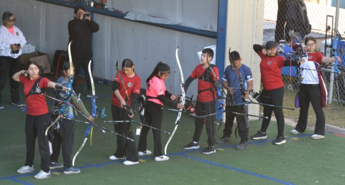 1d6f358d-65e8-41d7-a25a-31b958c72a5f