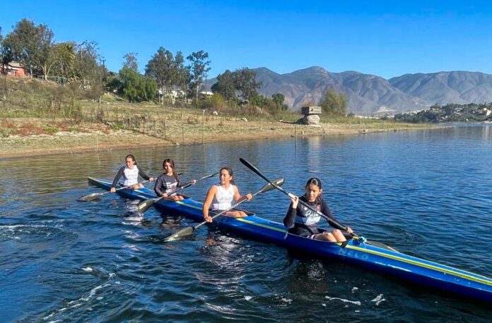 248d9bc4-42c7-4bd7-8a2d-a706575cec3d