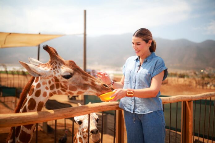 25f8496f-b576-4934-acff-9b76f70a06ef