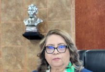 Impulsa diputada Miramontes iniciativa para fortalecer protección y bienestar animal