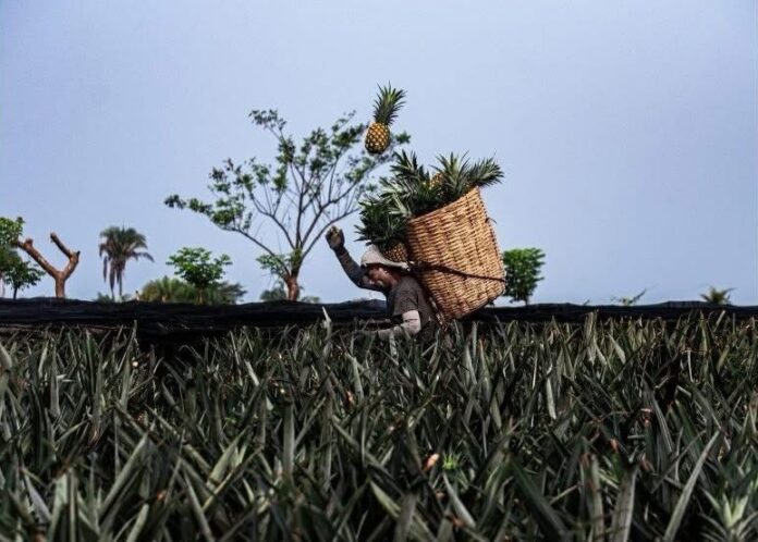 6150126a-63b7-4170-8067-26fdaa3b5bbc