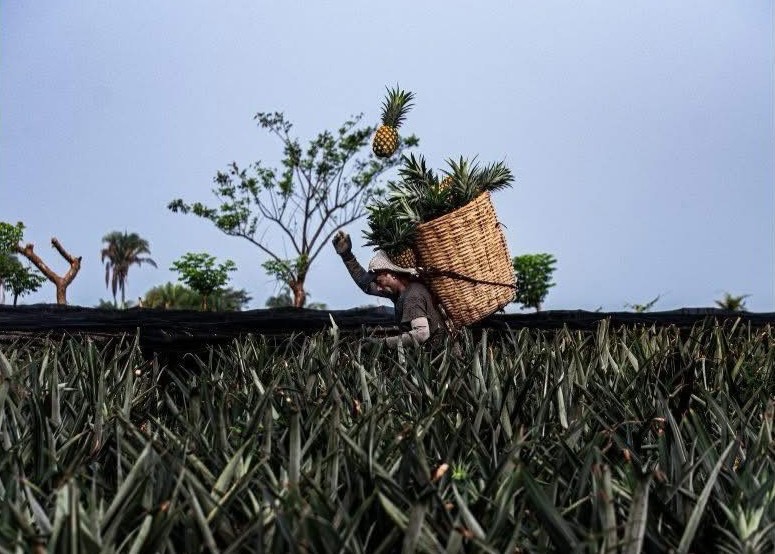 Sal Valenzuela, fotógrafo tijuanense, gana primer lugar en concurso nacional