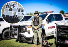 Decomisa SSCBC más de 470 armas de fuego durante 2025