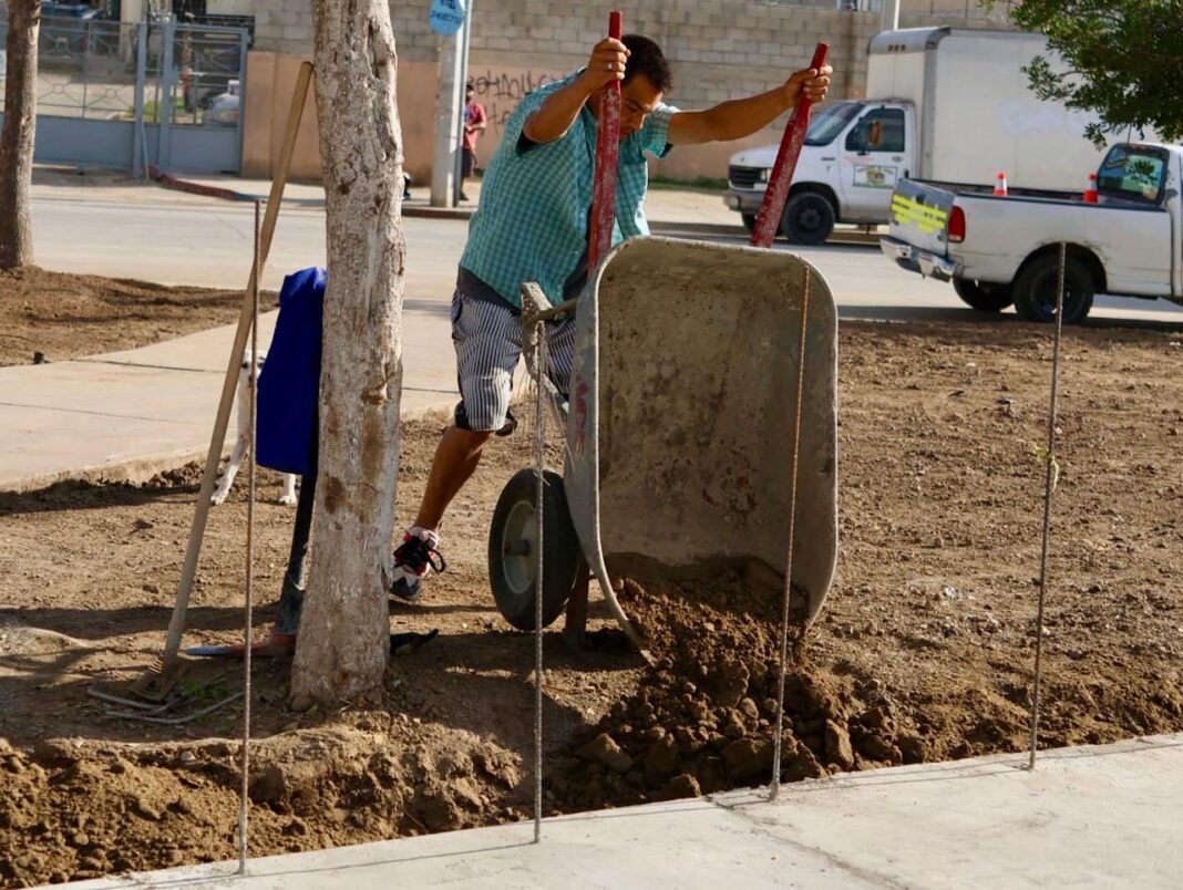 Supervisa Gobierno Municipal obra de rehabilitación del Parque Natura Sección Bosques