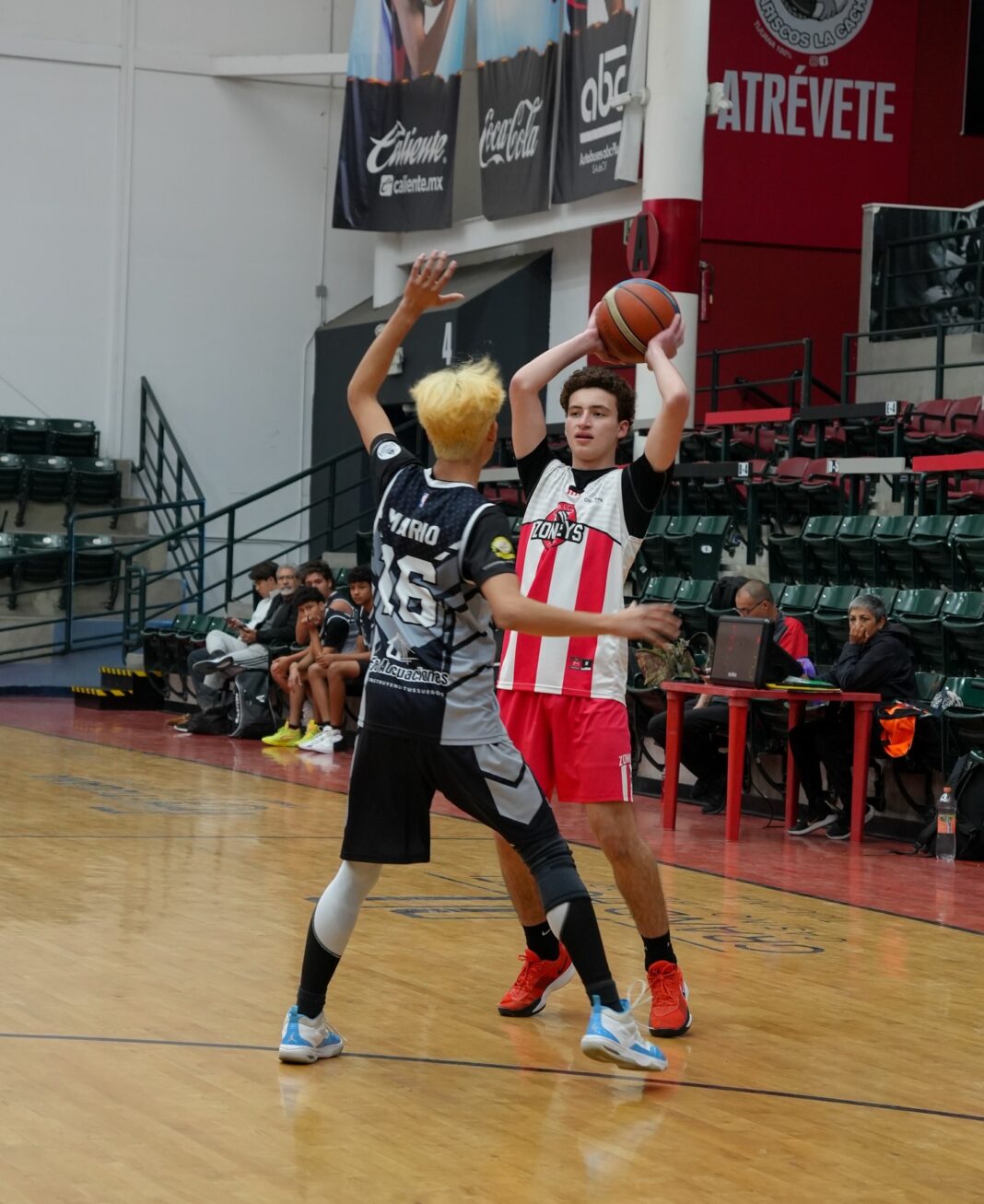 Zonkeys encenderá el espíritu navideño con torneo filantrópico