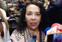 “Yo la visa la regresé vía DHL al consulado”: Araceli Brown