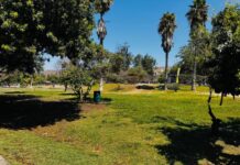 Ofrece Gobierno Municipal diversas actividades para las familias durante esta temporada vacacional