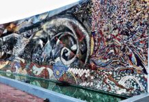 El artista plástico Carlos Coronado da inicio al nuevo ciclo de conferencias del archivo histórico del estado