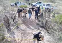 Mantiene Comisión de Búsqueda operativo en la colonia Alemán