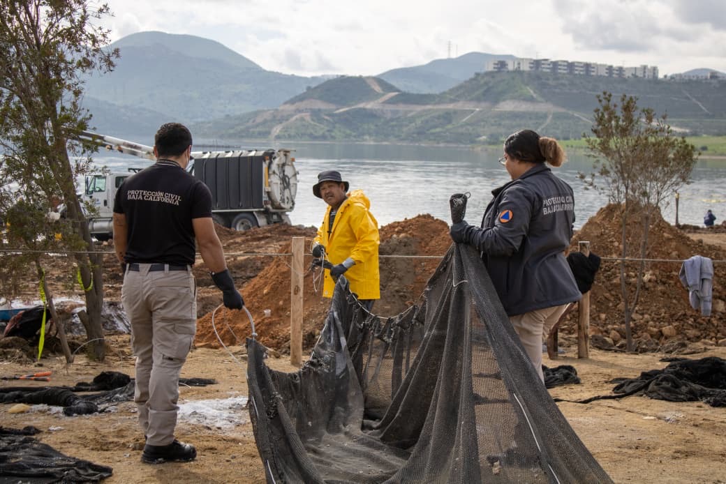 Siguen los trabajos en la presa Abelardo L Rodríguez tras muerte de fauna